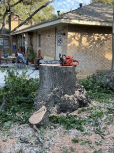 A large tree stump with a chainsaw resting on it, showing completed tree removal work by Handyman 210 Tree Service in San Antonio, TX.