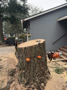 Tree stump with a chainsaw and heavy equipment in the background, demonstrating tree removal by Reyes Tree Service LLC in Vancouver, WA.