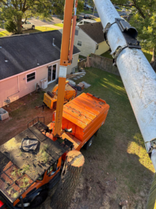 Aerial view from a bucket truck showing a tree stump, chipper, and equipment used by E&D Expert Tree service LLC in Newport News, VA.