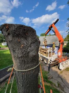An aerial view of a tree stump with a crane from M S Wiekhorst Arbor Company loading a log section in Columbus, NE.