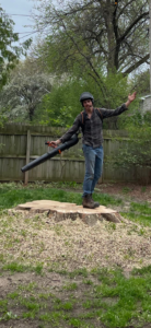 A tree service worker stands on a large tree stump surrounded by wood chips after grinding and cleanup by Canopy Cops Tree Service LLC in Appleton, WI.