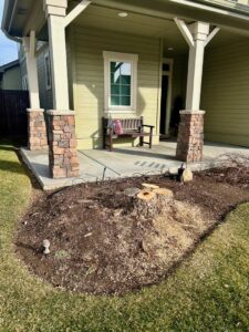 A freshly ground tree stump with wood chips around it, indicating completed tree removal by Double J Tree Service, LLC in Meridian, ID.