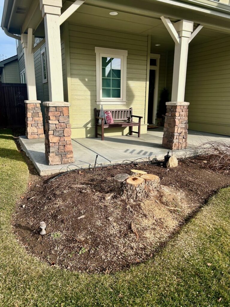 A freshly ground tree stump with wood chips around it, indicating completed tree removal by Double J Tree Service, LLC in Meridian, ID.