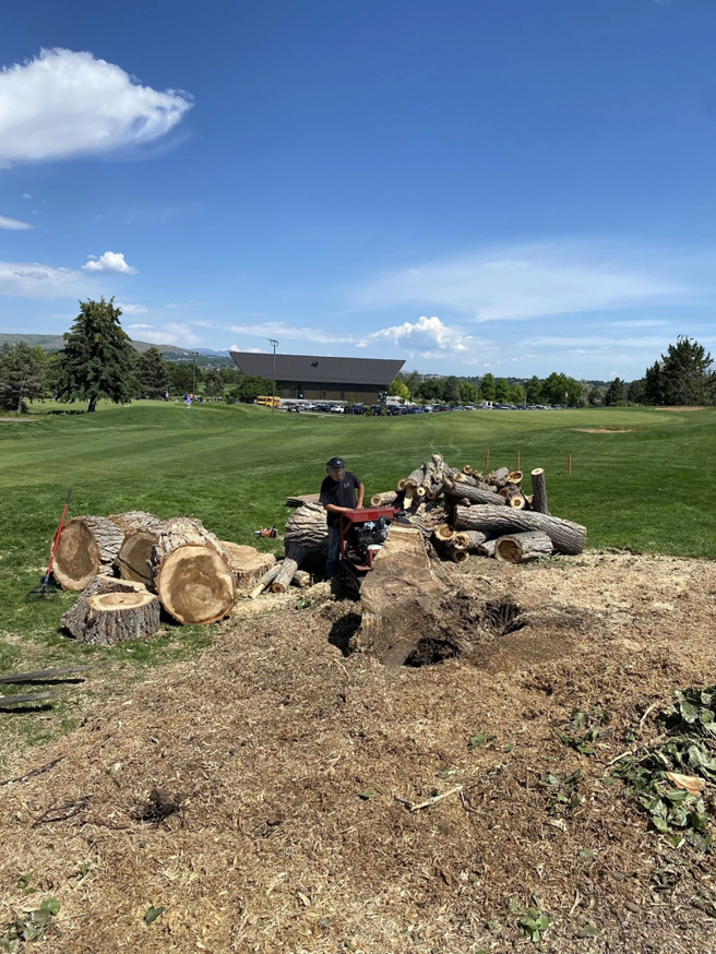 A tree service professional performing stump grinding with logs and wood chips at a job site for Detail Tree works & landscaping in Denver, CO.