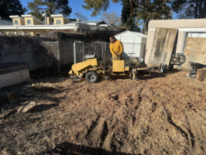 A professional operating a stump grinder to remove a tree stump at Sierra Tree Specialist in Albuquerque, NM.