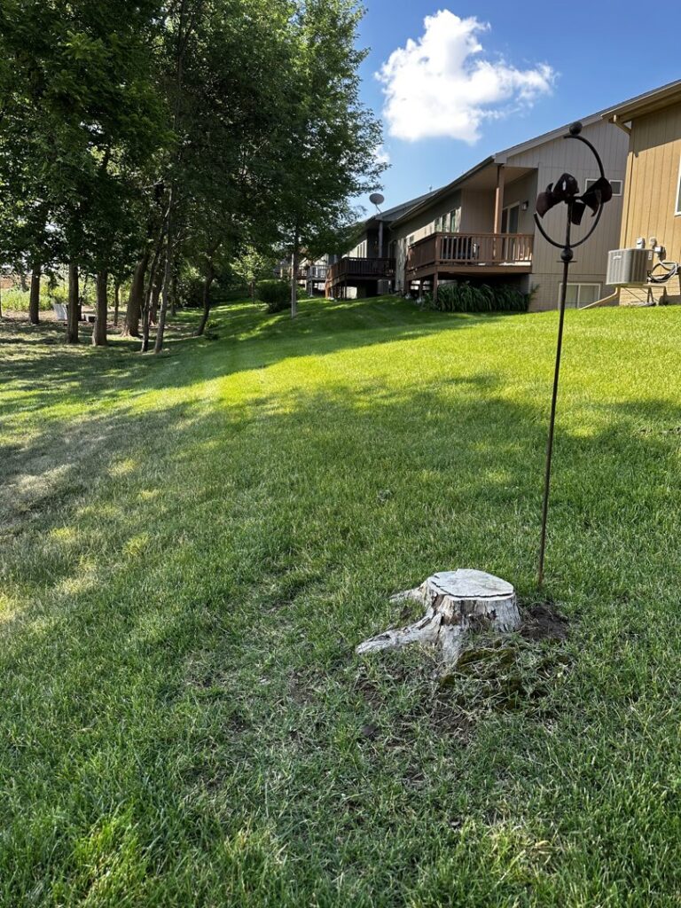A freshly cut tree stump in a residential backyard, indicating recent tree removal by Marv's Tree Service in Omaha, NE.