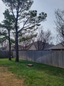 A freshly cut tree stump visible in a residential backyard, indicating tree removal service by S & M Tree Service, LLC in Edmond, OK.