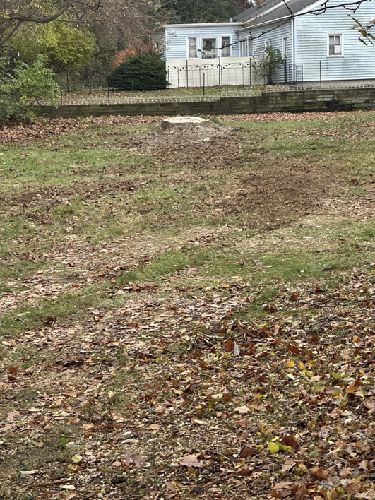 A tree stump visible in a residential yard after tree removal by Double E Tree Service in South Bend, IN.
