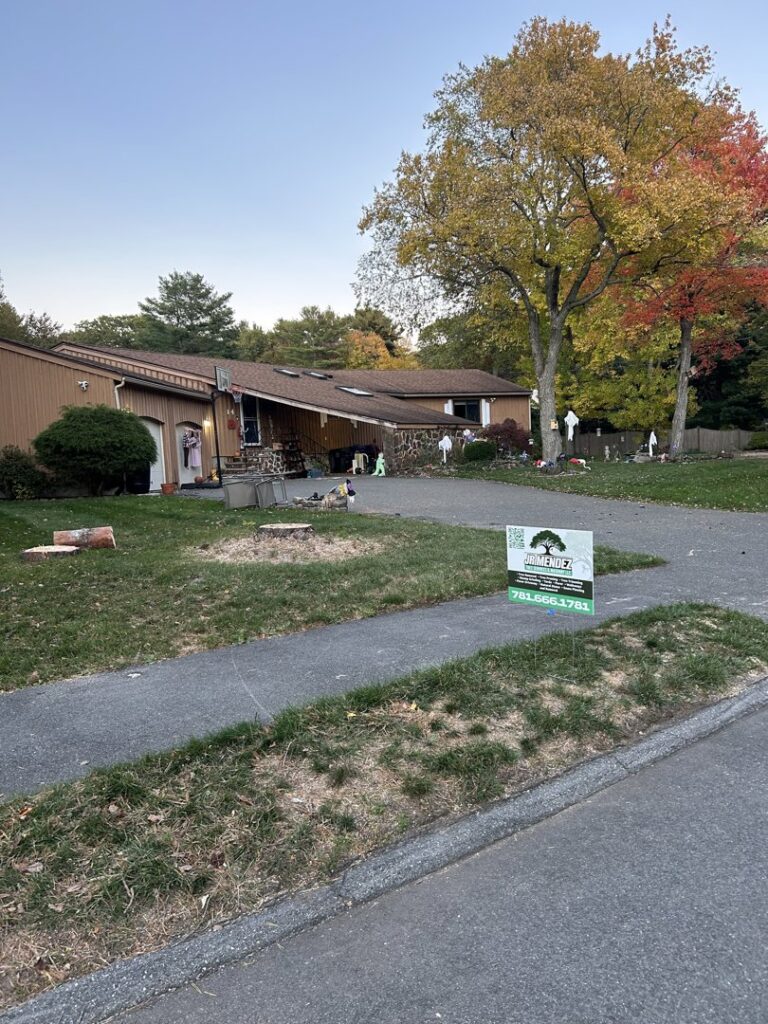 A tree stump in a residential yard, indicating recent tree removal by JR Mendez Tree Services and Masonry LLC in Lynn, MA.