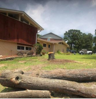 Logs and a tree stump in a residential yard after tree removal by Michael Wayne's Landscaping & Tree Service in Columbia, SC.