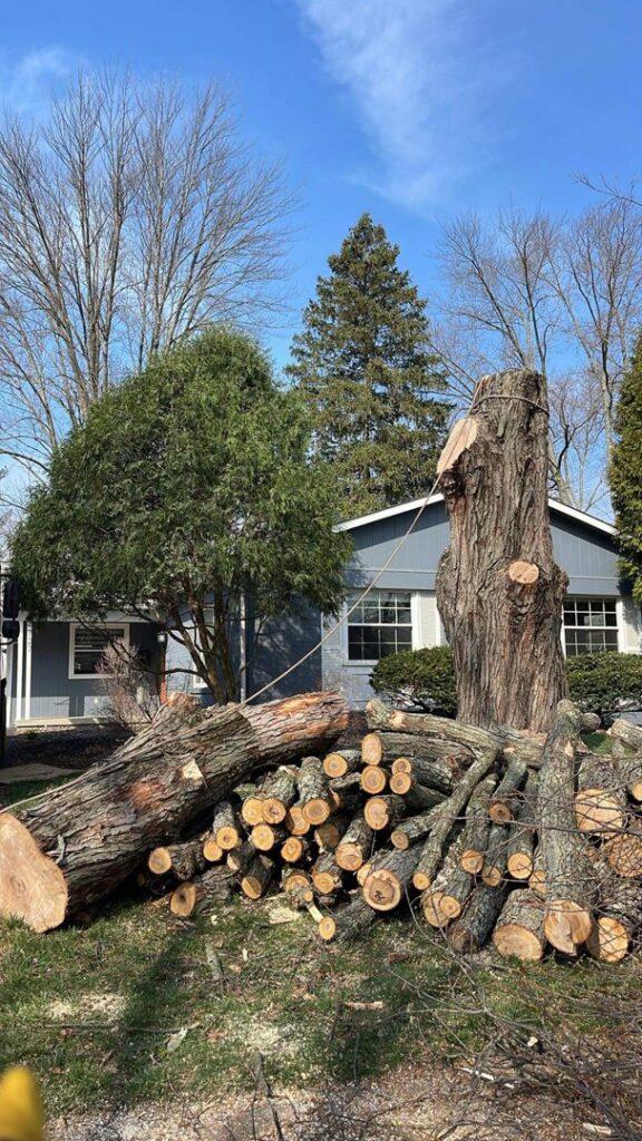 A large tree stump and a pile of cut logs after tree removal by Miguel's Lawn Service LLC in Columbus, OH.
