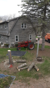 A freshly cut tree stump and logs with a tractor, showing tree removal work by Stick Chasers Tree Service in Racine, WI.
