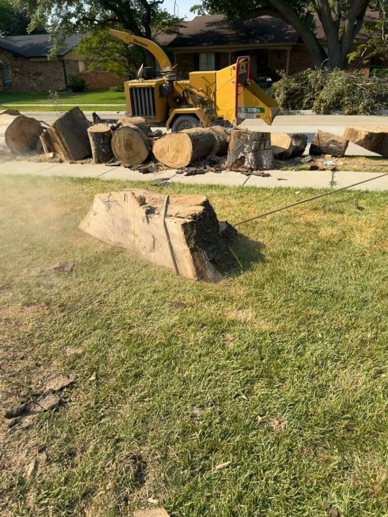A large tree stump and cut logs on a lawn with a wood chipper in the background by Lion Tree Service in Dallas, TX.