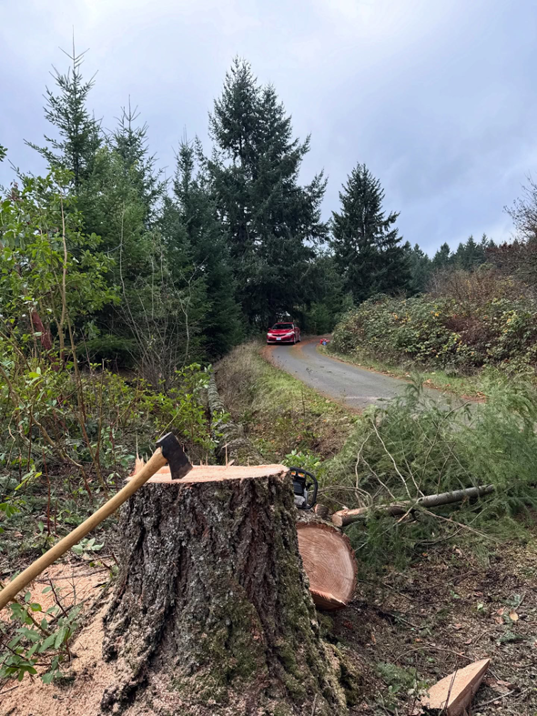 A freshly cut tree stump with an axe and chainsaw, showing tree removal by Baltazar Tree Service LLC in Beaverton, OR.