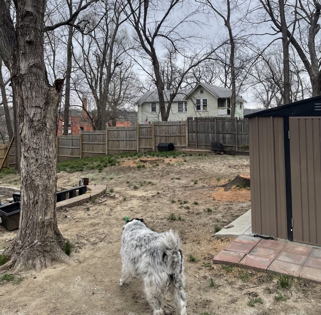 A backyard with a tree stump, indicating tree removal services by Hoffman Construction Services, LLC in Saint Joseph, MO.