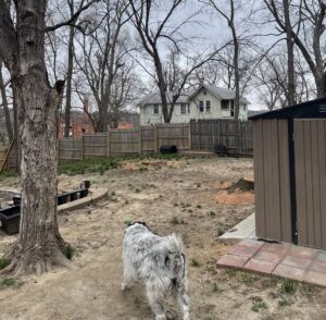 A backyard with a tree stump, indicating tree removal services by Hoffman Construction Services, LLC in Saint Joseph, MO.