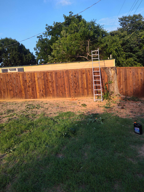 A freshly cut tree stump and wood debris in a backyard after tree removal by Mauricio tree service in Dallas, TX.