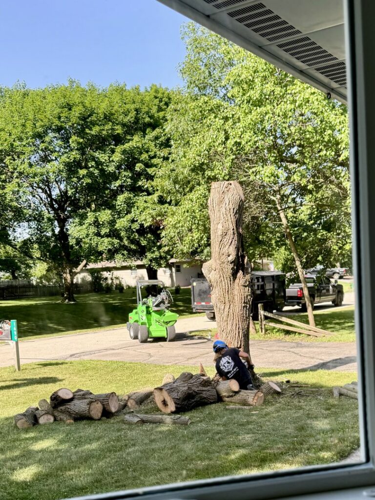 A tree service worker cutting logs on the ground after tree removal, with a stump and equipment nearby for SKV Tree Service in Morris, IL.