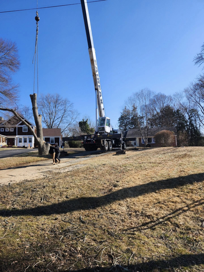 A crane and worker near a tree stump and cut tree sections during a job by Kenny Jenkins Tree Service & Landscaping, LLC in Rapidan, VA.