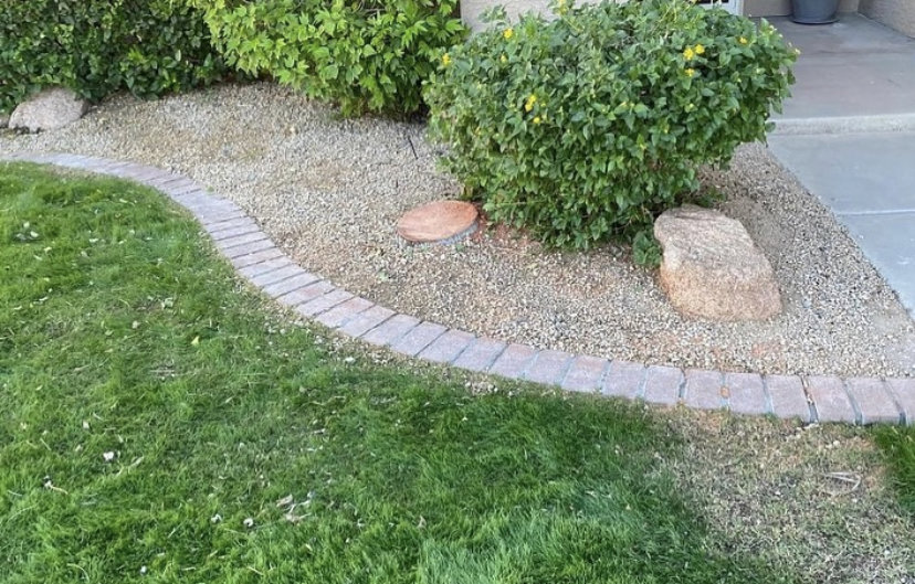 A tree stump remaining after tree removal services in a landscaped yard by EverBloom Landscape in Phoenix, AZ.