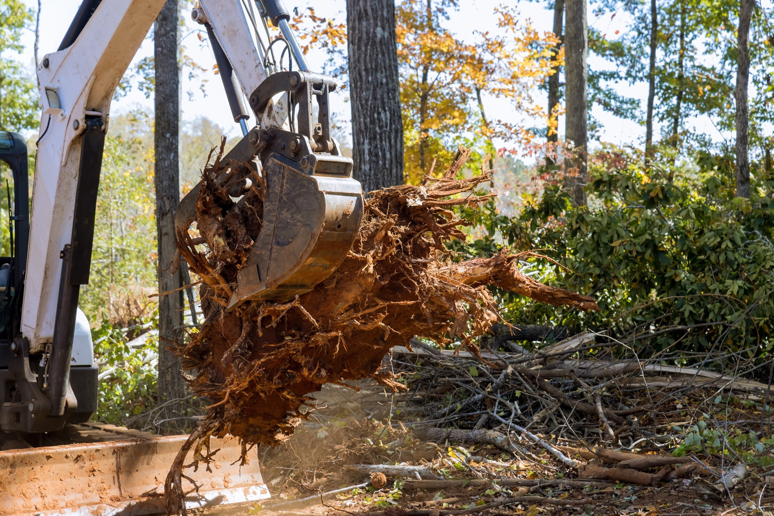An excavator removing a large tree stump and roots, a service provided by Beaver Creek Tree Service in Penns Grove, NJ.