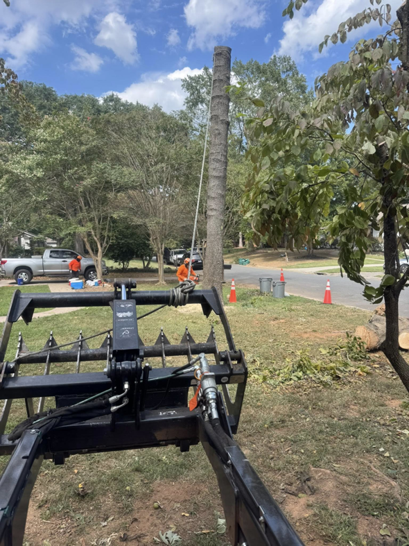 A worker removing a tall tree stump with ropes and a grapple attachment by Diaz Tree Service in Charlotte, NC.