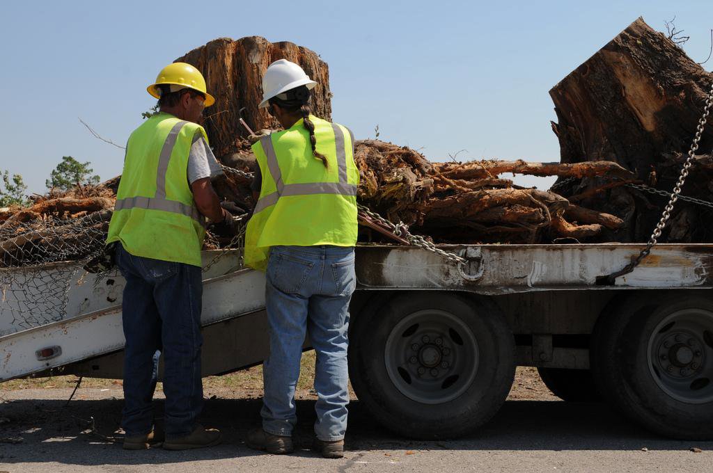 Two tree service workers inspecting a flatbed trailer loaded with large tree stumps and roots for Little Rock Tree Service Pros in Little Rock, AR.