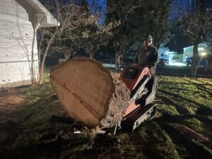 A mini skid steer moving a large tree stump or log after removal by Loughnan Logging-Tree Service in Spokane Valley, WA.