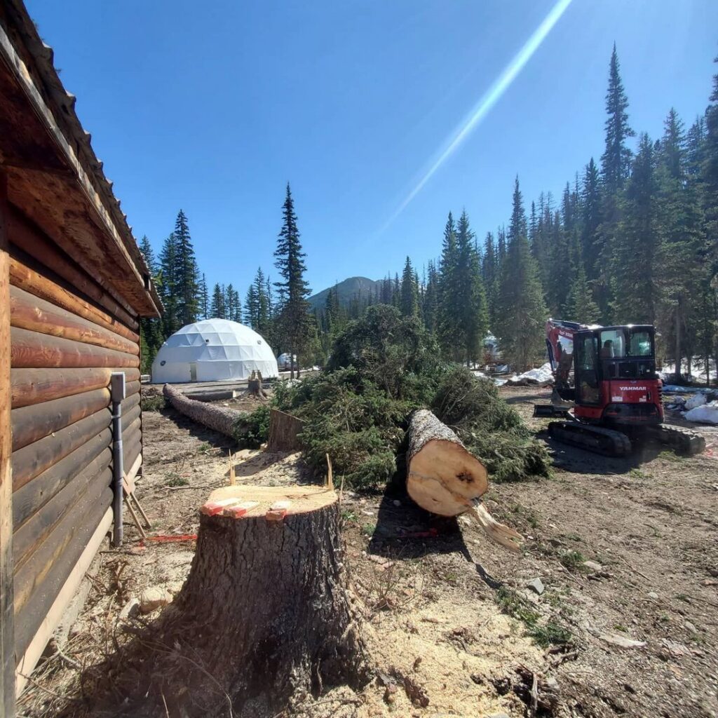 A tree removal site with a large stump, cut logs, and an excavator by Flathead Tree Services in Kalispell, MT