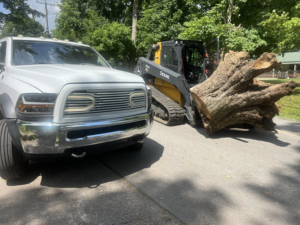A large tree stump being removed by a skid steer from Hardin County Tree Service LLC Kentucky in Elizabethtown, KY.