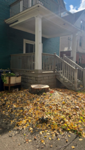 A freshly cut tree stump with wood chips and leaves, indicating tree removal by KD TREES in Clarksville, TN.