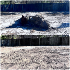 Before and after of a large tree stump and root ball removal by Robert & Sons Tree Service in Augusta, GA