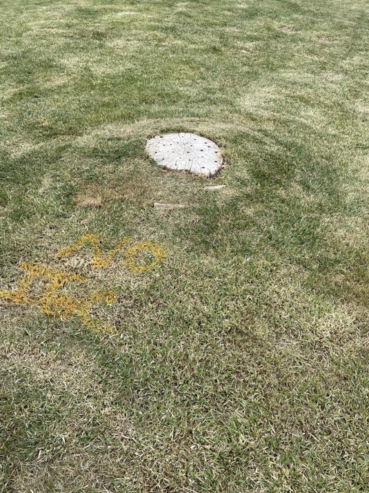 A tree stump in a grassy area with yellow utility markings, ready for grinding by Idaho Stump Grinding in Twin Falls, ID.