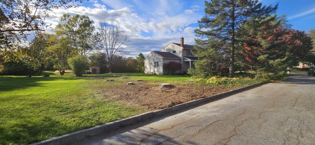 Multiple tree stumps visible in a residential yard after tree removal by Teacher's Tree Service in South Burlington, VT.