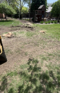 Two tree stumps visible in a grassy yard after tree removal services by Toben Tree Service in Yankton, SD.