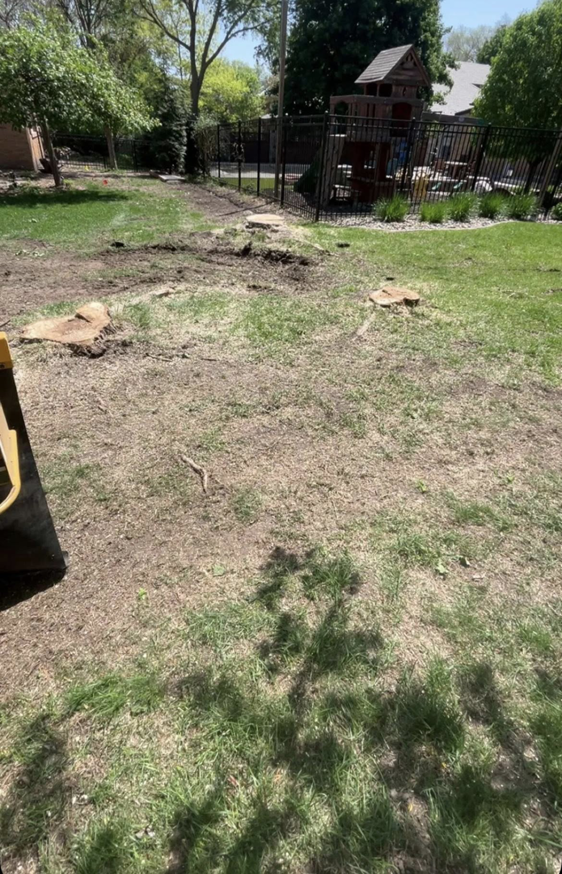 Two tree stumps visible in a grassy yard after tree removal services by Toben Tree Service in Yankton, SD.