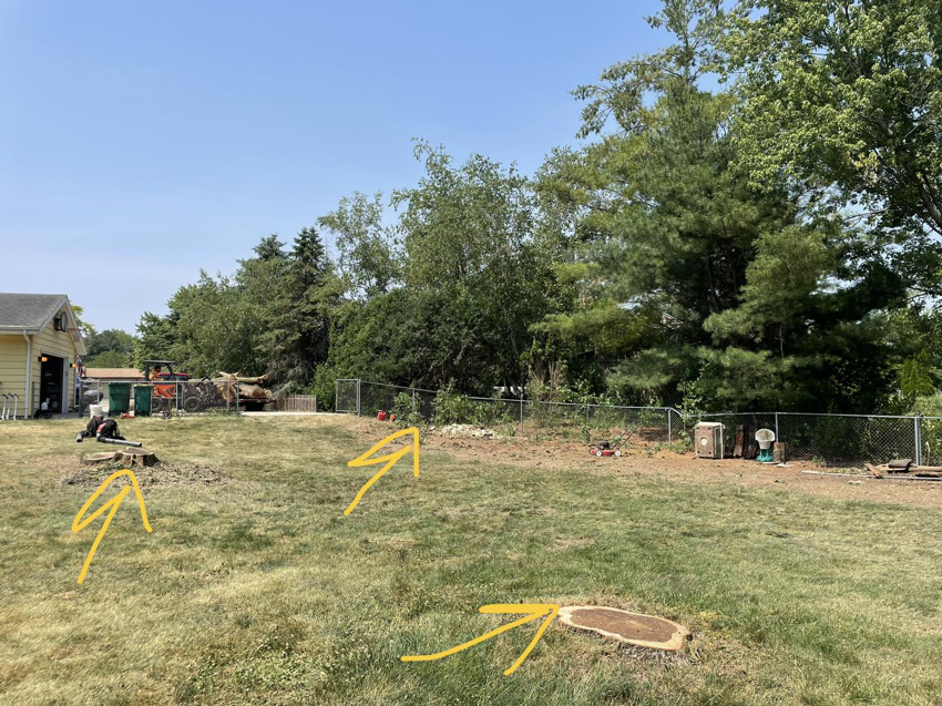 Several tree stumps visible in a backyard after tree removal services by Top Down Tree Service LLC in Janesville, WI