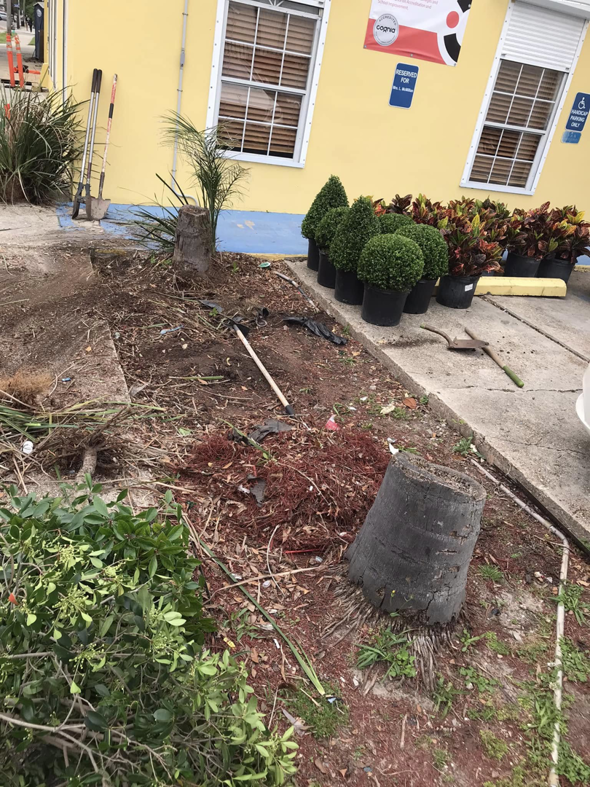 Tree stumps and a cleared garden area after tree removal by J.Pittman Services in New Orleans, LA.