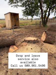 Freshly cut tree stumps and logs on the ground, showing drop and leave service by West Valley Tree Service LLC in Yakima, WA.
