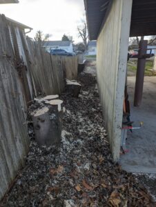 Multiple tree stumps and cut logs along a fence line after tree removal by TW Tree Service in Lewiston, ID.