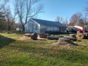 A residential yard showing multiple tree stumps and cut logs after tree removal by Dave's Tree & Stump Removal LLC in Parma, OH.