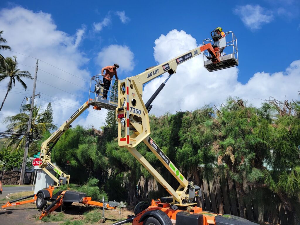 Two tree service workers using aerial lift platforms to trim a tall hedge for Island Trees in Bethpage, NY.