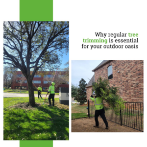 Lemon Tree Service crew performing tree trimming and branch removal services in Irving, TX.