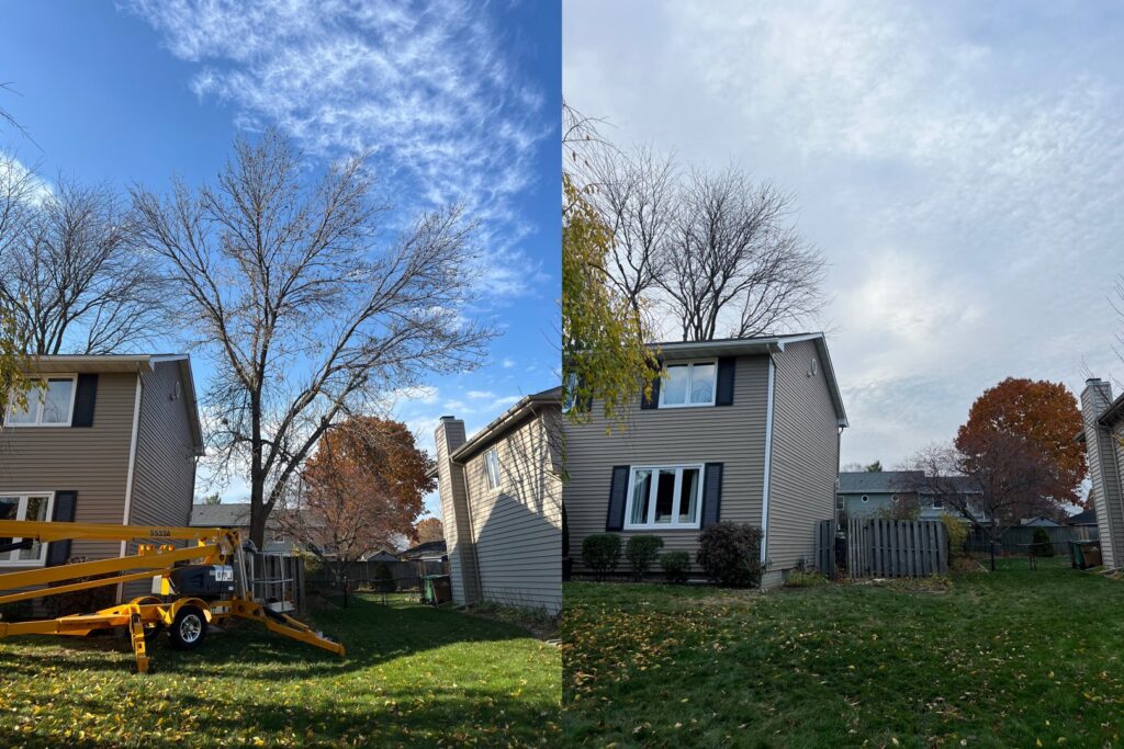 Before and after view of a tree trimming job with a lift, performed by JN Services LLC in Des Moines, IA