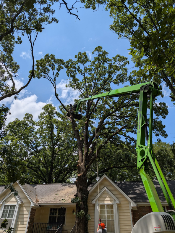 A tree service professional in a boom lift trimming a large tree over a house for Hughes Tree and Landscaping in Poolesville, MD.