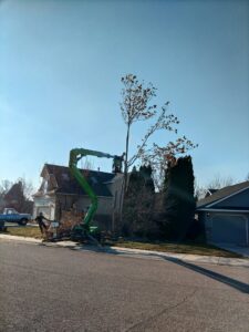 A tree service worker in a bucket lift trimming a tree next to a residential home for Double J Tree Service, LLC in Meridian, ID.