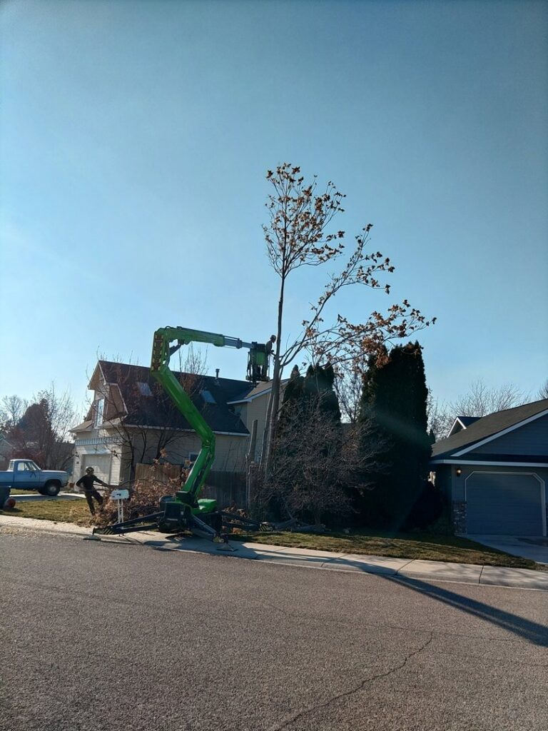 A tree service worker in a bucket lift trimming a tree next to a residential home for Double J Tree Service, LLC in Meridian, ID.