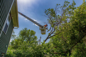A tree service worker in a bucket lift trimming branches near a residential home by Kansas Tree Care in Lawrence, KS.