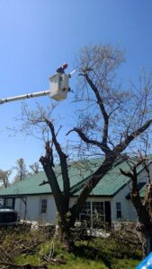 A worker in a bucket lift performing tree trimming near a residential home for KT Farms, Tree Service & Logging LLC in Springfield, MO.