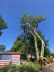 A tree service worker in a bucket lift trimming a tall tree with ropes for controlled branch removal by Woodchopper's Tree Service in Lennon, MI.